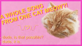 How I Made A Song By Only Using ONE Sample (cat meow)