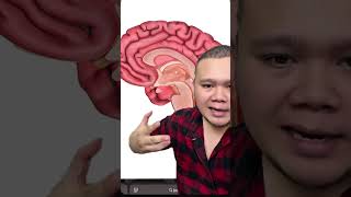 Download Lagu MINUM KETUM BOLEH JADI GILA..? CARA UNTUK STOP MINUM KETUM MP3