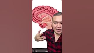 MINUM KETUM BOLEH JADI GILA..? CARA UNTUK STOP MINUM KETUM