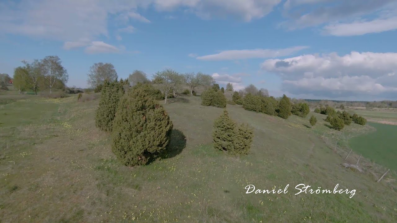 Nature Around Uppsala Sweden