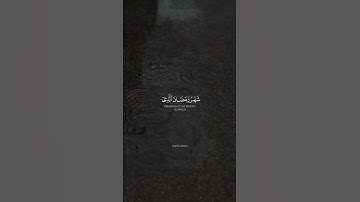 { شهر رمضان الذي أنزل فيه القرآن } بصوت القارئ عبد الرحمن مسعد
