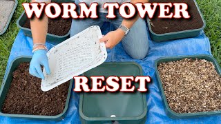 Restart Your Worm Bin After Months of Neglect | Vermicompost Worm Farm