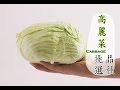 【冬】高麗菜正便宜，如何挑選才好吃 | 台灣好食曆