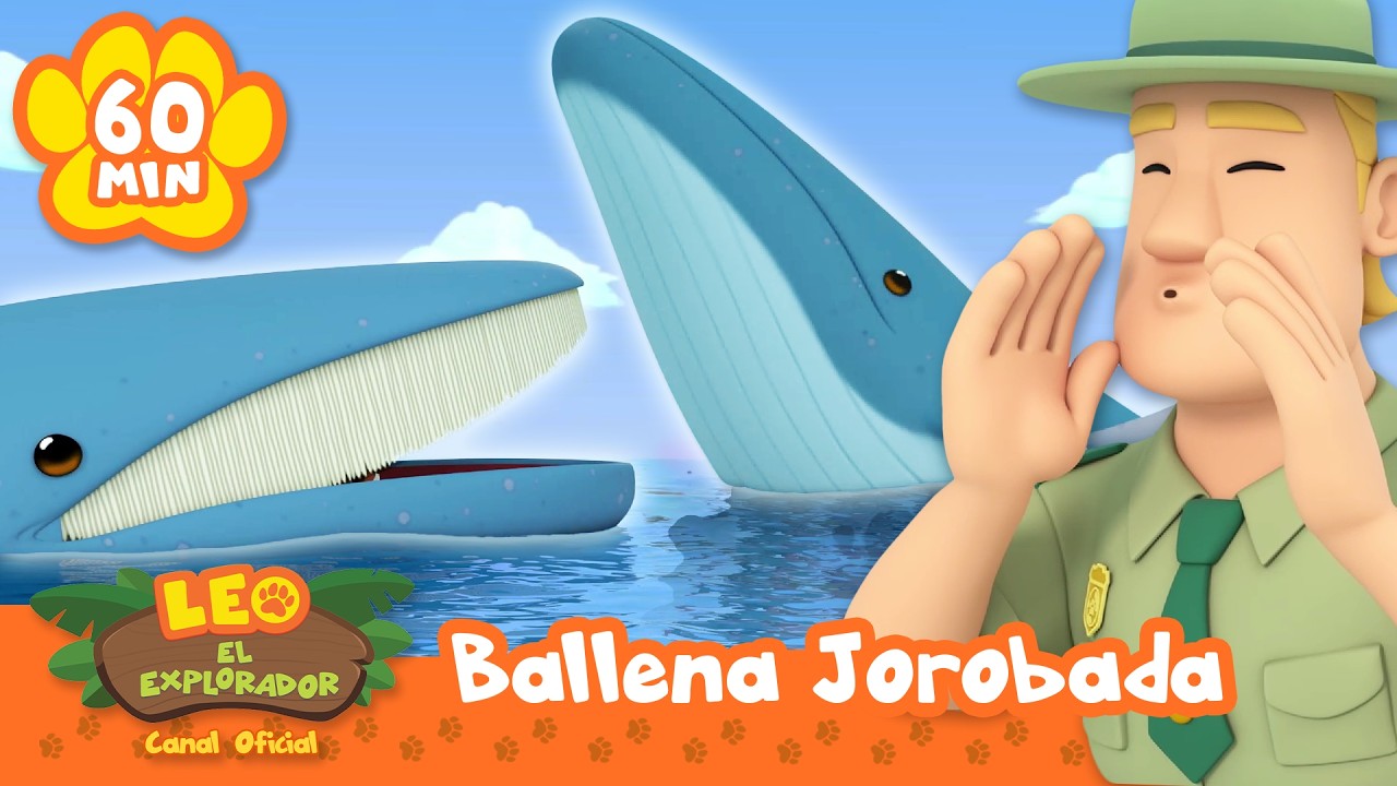 ¡LOS MAMÍFEROS MÁS GRANDES DEL MAR! ¡Ballenas, tiburones y más! | Leo, El Explorador | Animación