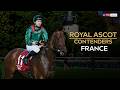 "It's a WORLD CUP FINAL!" 🇫🇷 | Royal Ascot contenders | France