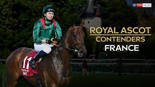 "It's a WORLD CUP FINAL!" 🇫🇷 | Royal Ascot contenders | France