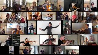 CPO & ESO Quarantine 2020 Project: Elgar - Nimrod Profile