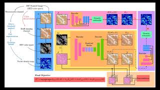 H&E to IHC virtual staining in 3 minutes! | Breast Cancer Detection