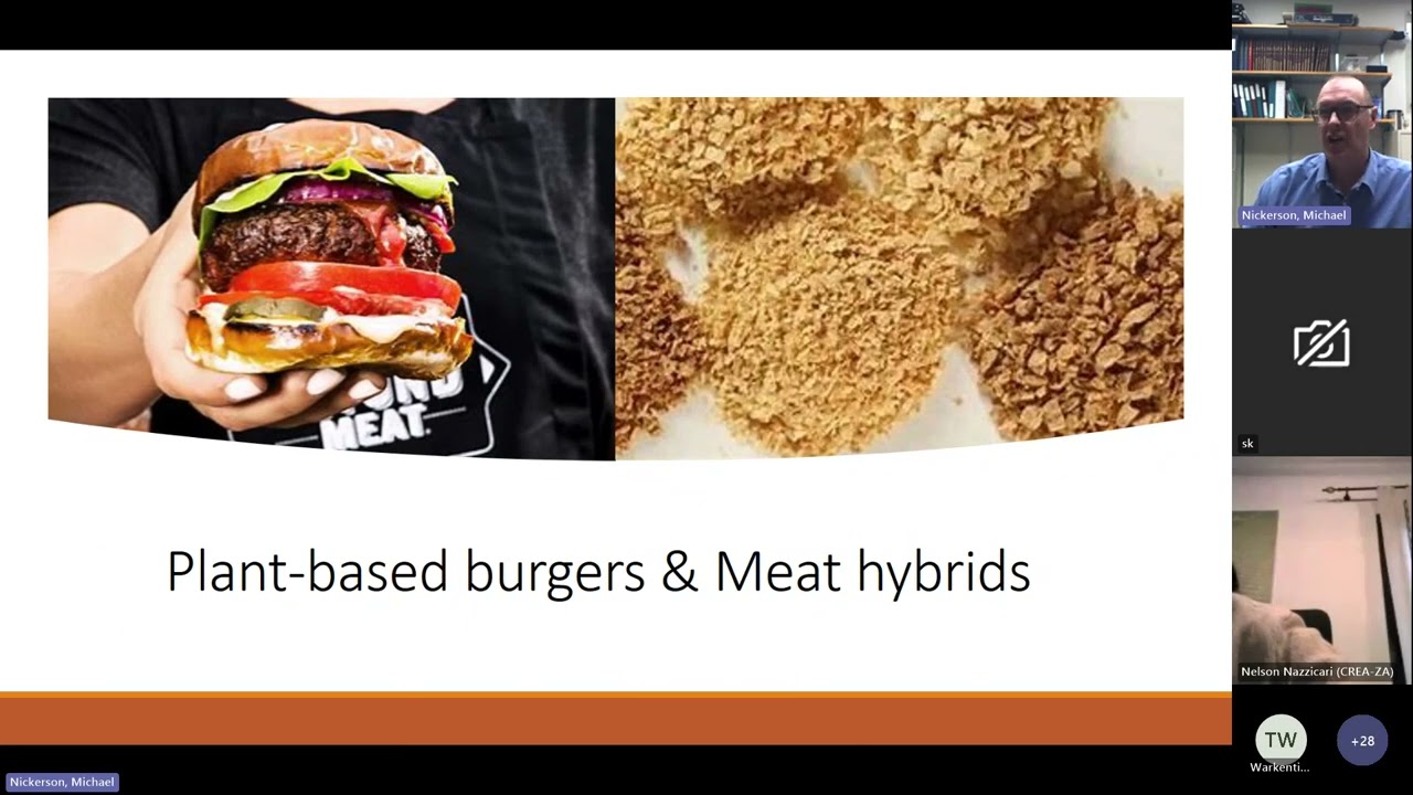 [ILSW-s2e01] Pulse protein functionality, nutritional quality and utilization in the food industry