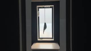 Smart Glass Home Privacy Transformation