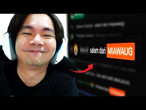 MiawAug Raid Para Streamer!!