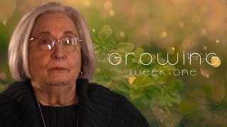 Growing | A New Sermon Series | Week 1 by First Methodist Church Jonesboro 115 views 1 year ago 6 minutes, 41 seconds