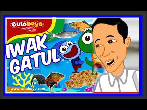 (1.95 MB) Iwak Gatul Mp4 – StafaBand : Download Lagu MP3