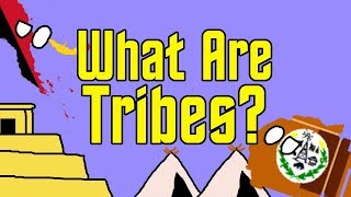 What is a Tribe?