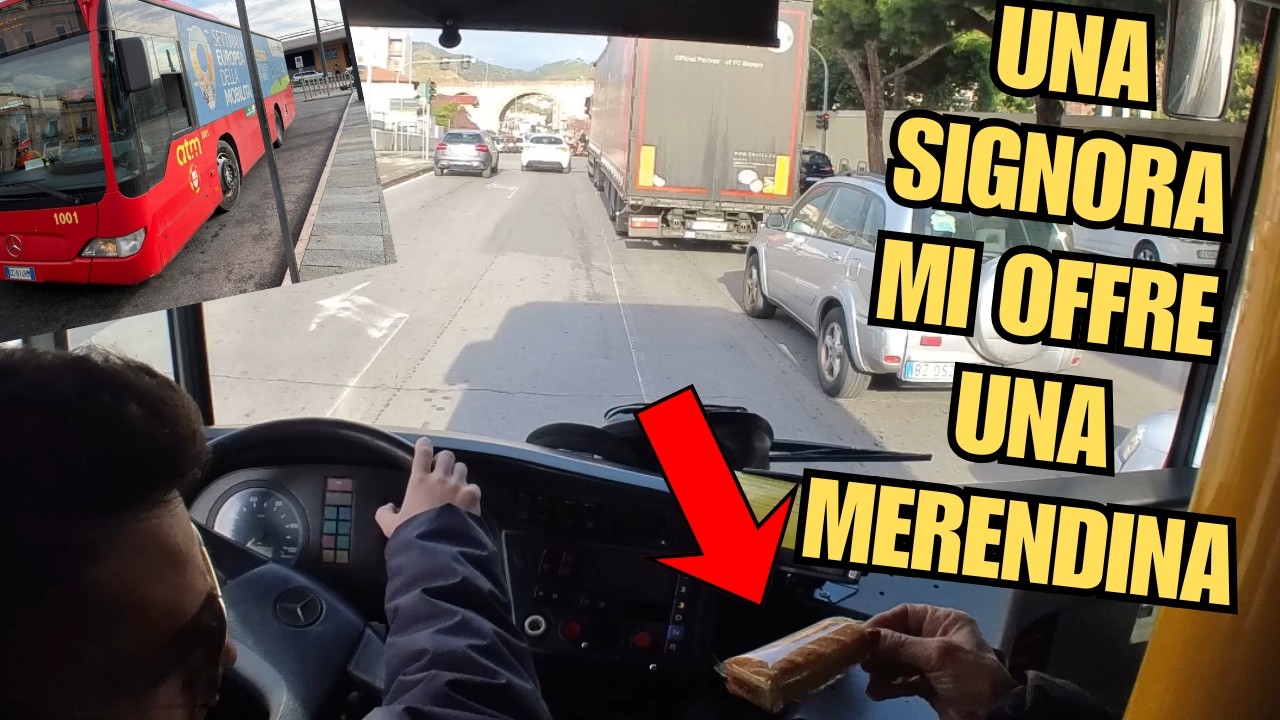 BUS DRIVER POV 🚍 Linea 14 CAMARO con 10 metri di CATTIVERIA #bus #pov #travel
