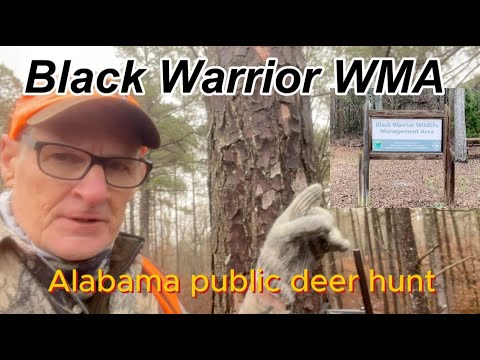 Hunting Clubs In Alabama Needing Members