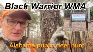 Black Warrior Alabama public deer hunt