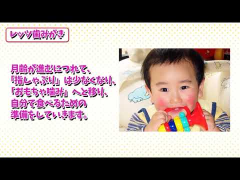 赤ちゃんのはみがきのしかた