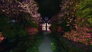A way out of the floral rooms