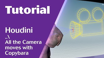Houdini. Camera animation and settings. All moves.