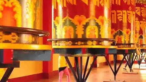 Samsara to Nirvana -The Little Buddha Way!