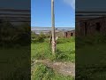 Antonio Luise - Togliere ai bambini e agli anziani uno spazio come un parco... (01.05.26)