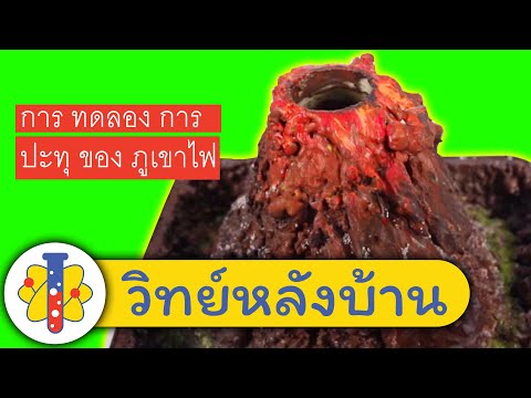 Volcano Vinegar| ภูเขาไฟระเบิด - ทำภูเขาไฟระเบิกด้วยน้ำส้มสายชู | วิทยาศาสตร์สนุกๆ กับ วิทย์หลังบ้าน