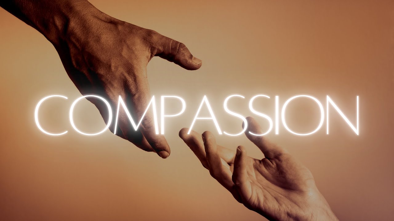 a definition essay defining your understanding of the word compassion