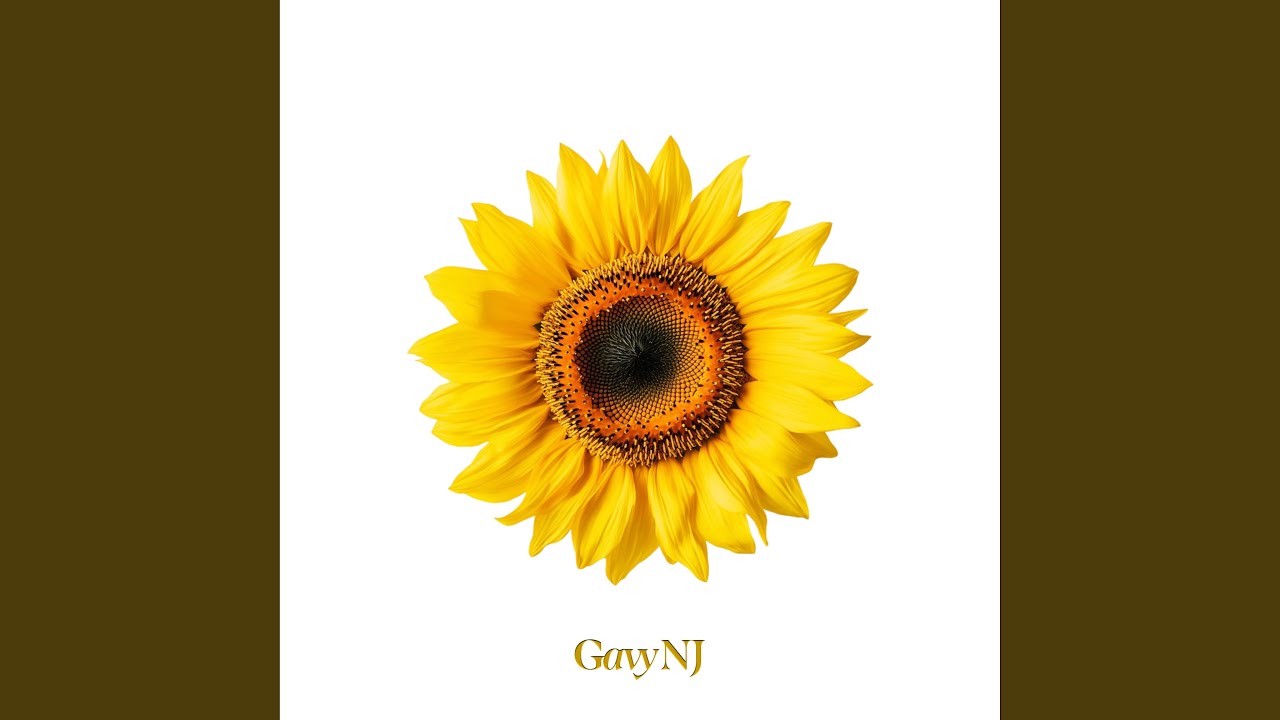 Sunflower (2026) (Instrumental)