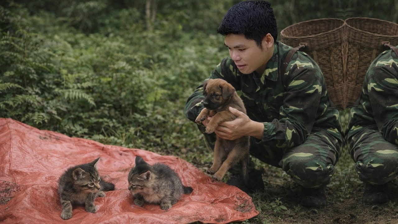 Full video: Kind young CEO Trieu Duong has rescued a stray puppy and kitten, giving them a new home.