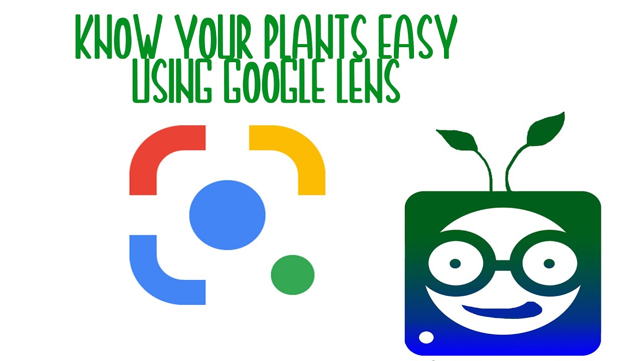 Identify Your Plants Using Google Lens - Tips and Tricks