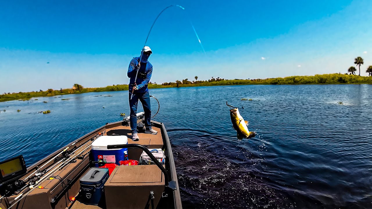 Hooking Huge Bass At Headwaters Lake With This Hydrilla Fishing Trick! YouTube