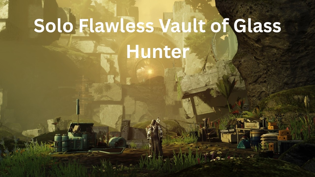 Solo Flawless Vault of Glass - Hunter | Destiny 2: Renegade