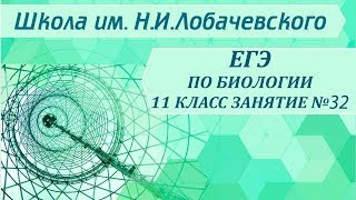 ЕГЭ по биологии 11 класс. Занятие 32. Выделение. Мочевыделительная система человека ЕГЭ по биологии 11 класс. Занятие 32. Выделение. Мочевыделительная система человека