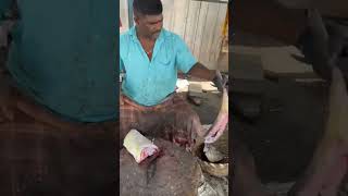 Big trevally fish cutting video