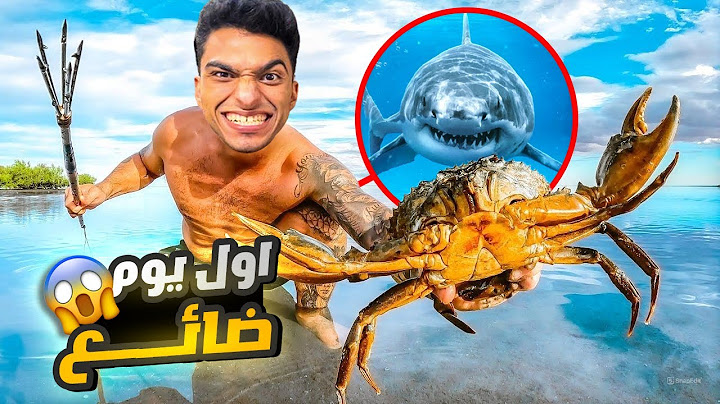 عشت علي جزيره في نص البحر وكان لازم اعيش علي طريقه السرفايفل😳 | Stranded Deep