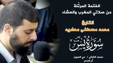 سورة يس كاملة بصوت الشيخ محمد مصطفى محاميد  - تلاوة هادئه