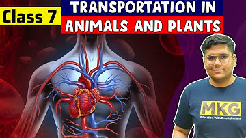Transportation in Animals and Plants | Class 7 Science | class 7 science chapter 11