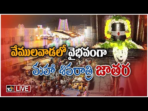 LIVE: శ్రీ రాజరాజేశ్వర స్వామి దేవస్థానంలో మహా శివరాత్రి జాతర | Mahashivaratri Celebrations | 10tv