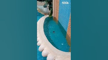 Thumbnail of imzing #phonk #music #anime #animeedit #song #lunch #wedding #travel #viralvideo #nature