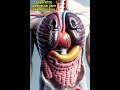 Smoking Andar Se Jism Ko Kya Karti Hai? 😱 | 3D Medical Reality