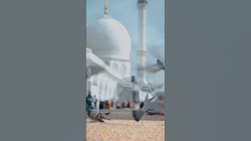 Thumbnail of May😊 Allah🌝 Hafiz 😎song 🤨status||Beutiful 😎moment 😘feel||#shorts #trending #viral