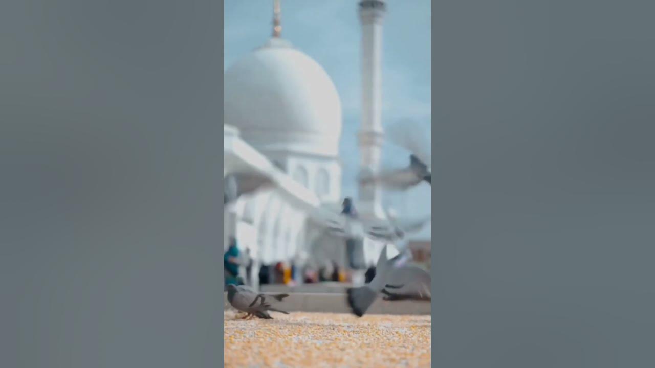 May😊 Allah🌝 Hafiz 😎song 🤨status||Beutiful 😎moment 😘feel||#shorts #trending #viral