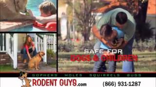 Gopher Control and Removal | Los Angeles Riverside Orange San Bernardino