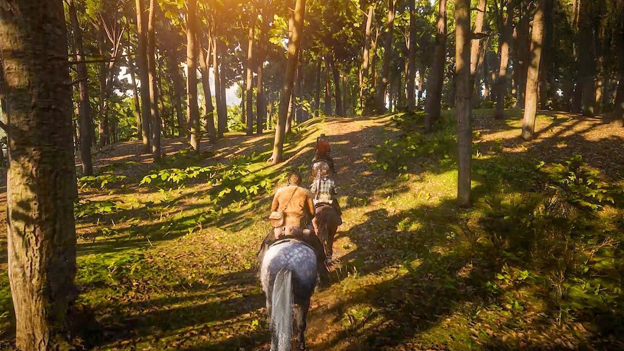 AN HONEST MISTAKE RED DEAD REDEMPTION 2 GTX 1050 Ti OC AMD RYZEN 