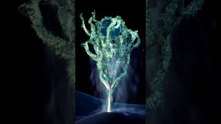 Crystal Mist, 2021