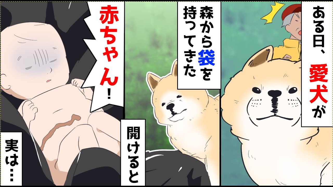 【漫画】父「逃げ出した犬が人間を咥えて戻ってきた」皆「え？」→黒いビニールの中に入っていたのは人間の赤ちゃんだった