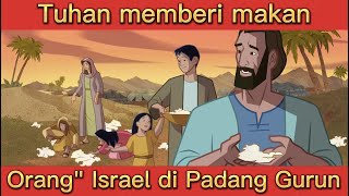 God Feeds the Israelites Manna and Quail in the Desert (Exodus 16)