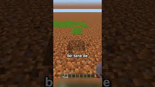 Mi̇necraftta Mi̇selyum Ve Çi̇meni̇ Savaştirmak