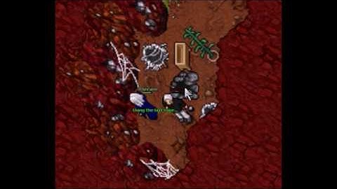 The best traps on Rookgaard by FFF #2